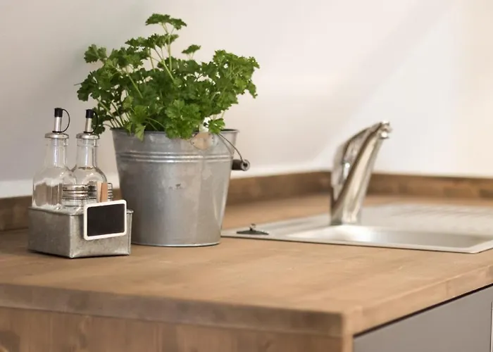 Alte Schmiede Otel *